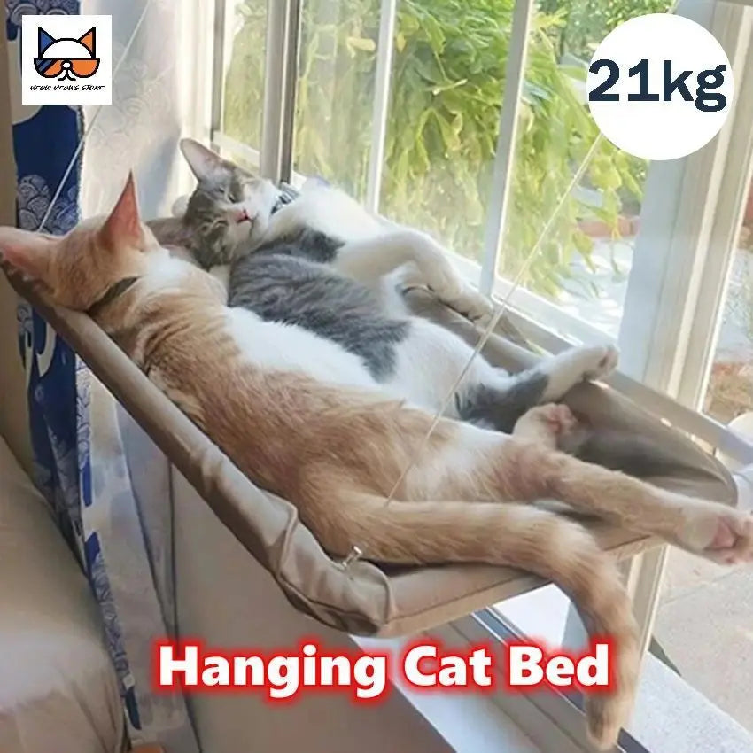 Cat window bed hammock with suction cups from 𝕄𝕔 𝕋𝕙𝕖 𝔹𝕝𝕒𝕔𝕜 𝔻𝕚𝕒𝕞𝕠𝕟