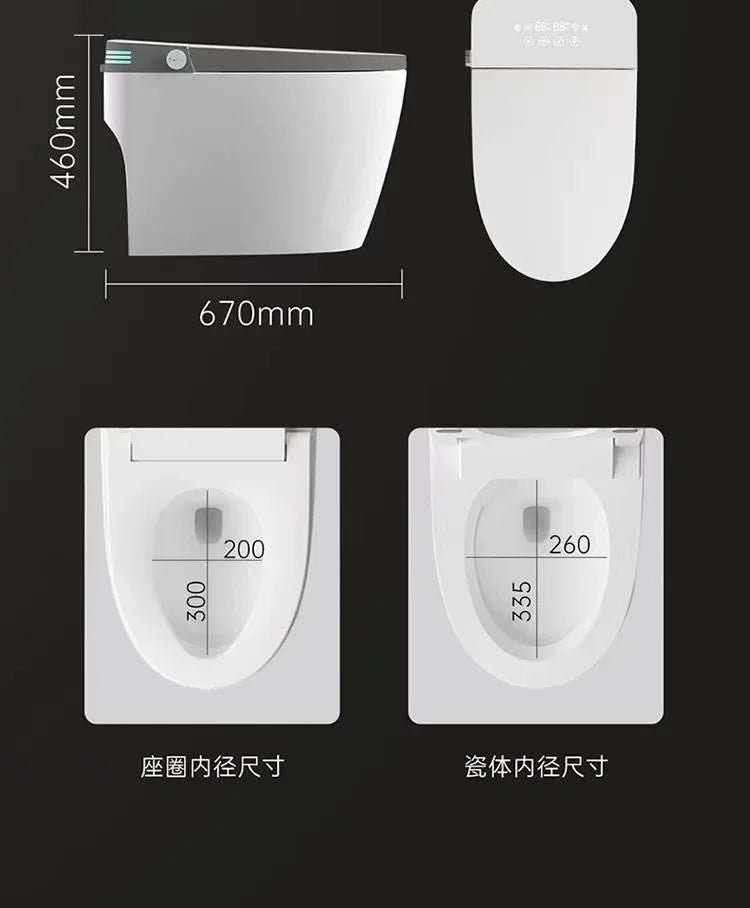 Modern ZQSmart fully automatic voice-activated bath toilet by šš ššš š¹šššš š»šššļæ½