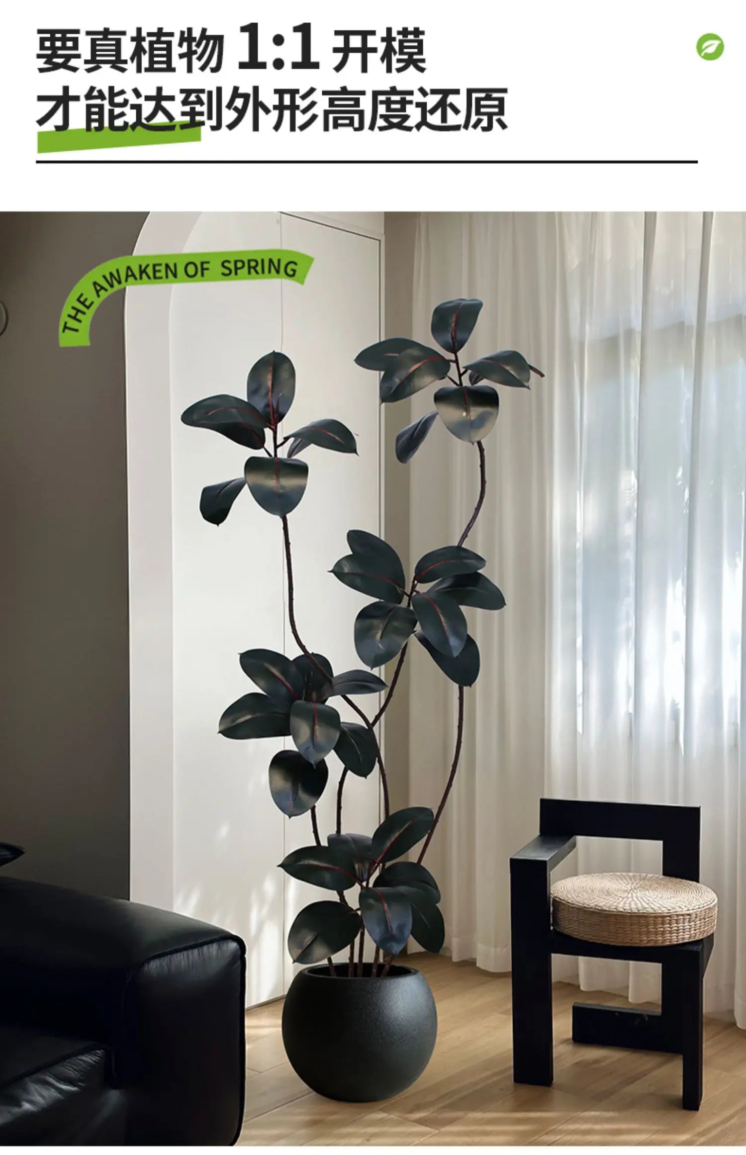 Artificial green rubber tree plant with black and gold accents, from 𝕄𝕔 𝕋𝕙𝕖 𝔹𝕝𝕒𝕔𝕜 𝔻𝕚𝕒𝕞�