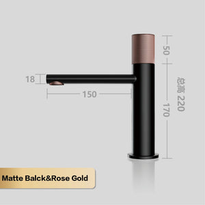 Black-Rose Gold 01