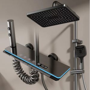 Shower Set A25 gray