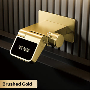 Brushed Gold